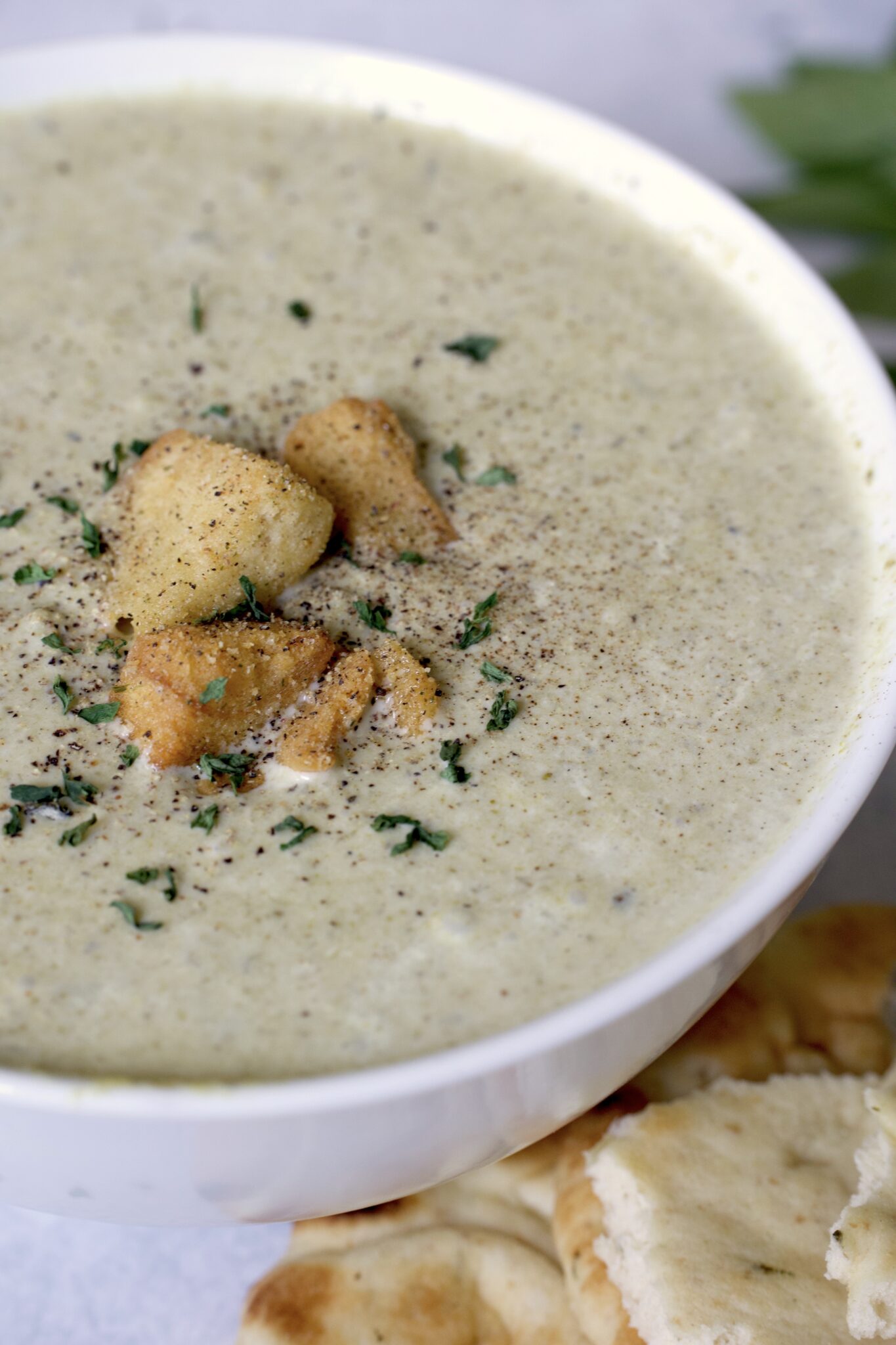 Crockpot Cream of Broccoli Soup – Tasty Oven