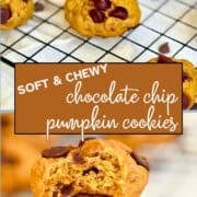 chocolate chip pumpkin cookies pinterest image