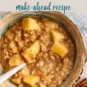 crockpot apple oatmeal social media image