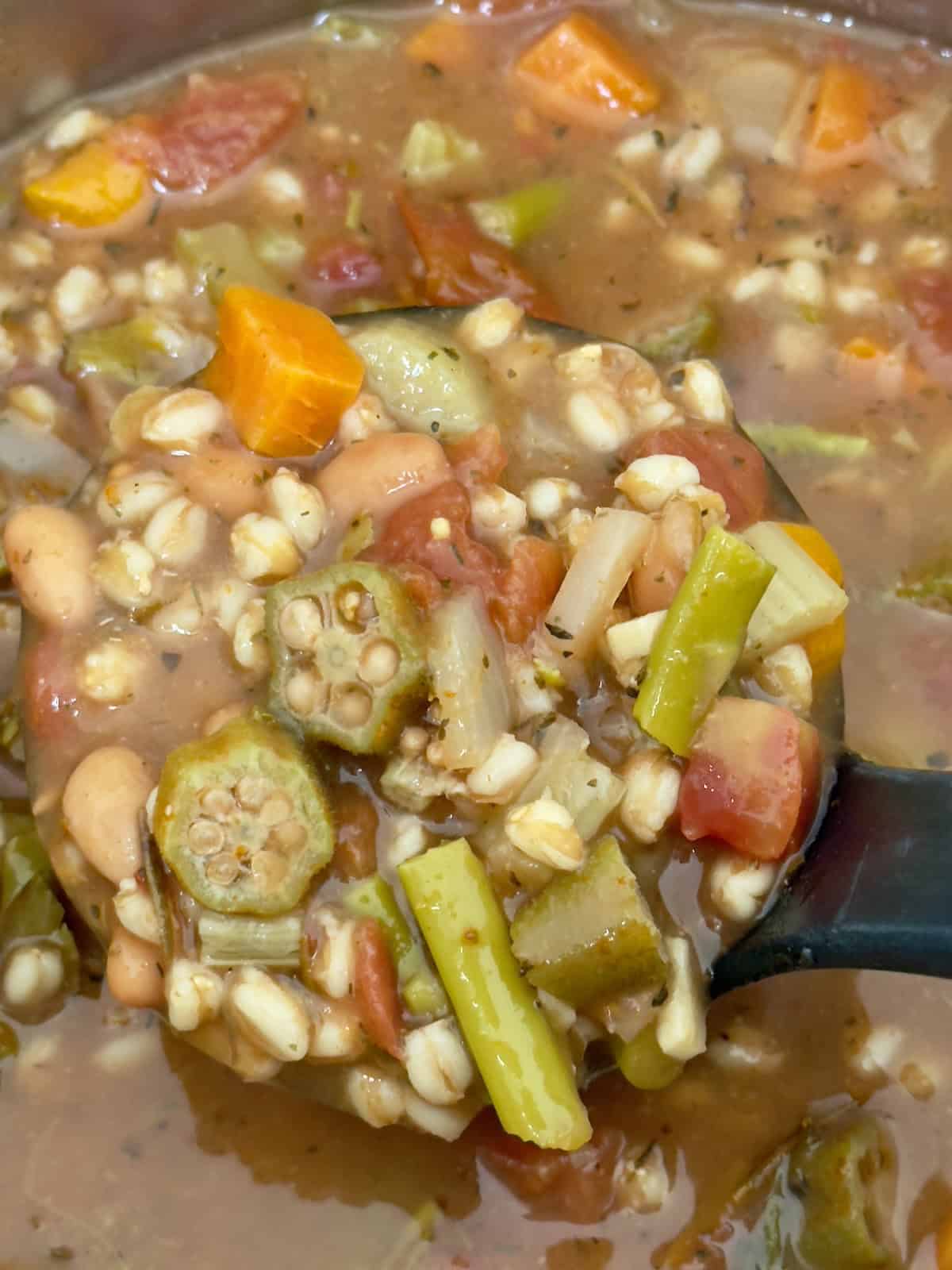 pressure cooked farro soup in a soup ladle