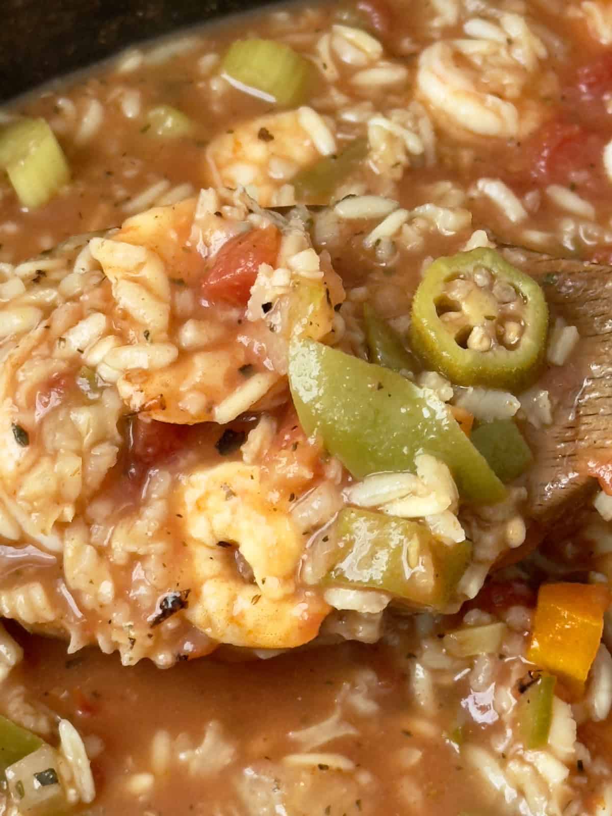 close up of jambalaya soup in a serving spoon