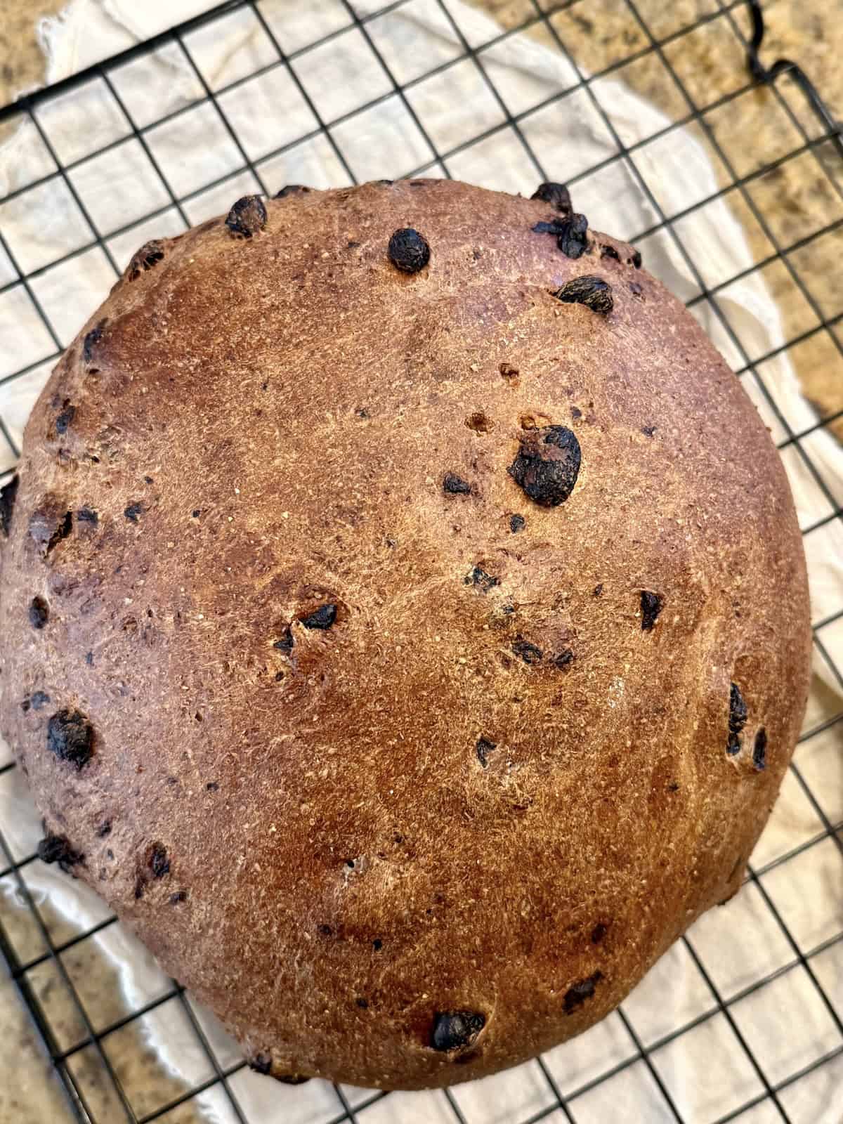 a loaf of oven baked whole wheat cinnamon raisin bread on a cooling rack