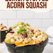 quinoa stuffed acorn squash pinterest image