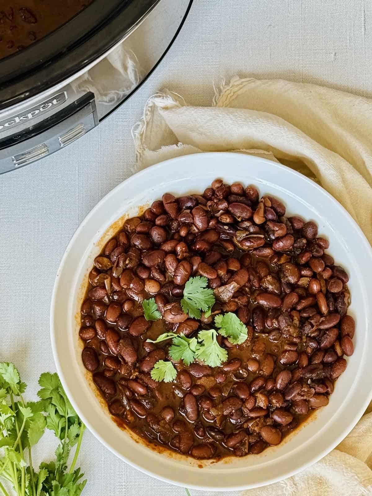 crockpot mexican style pinto beans in a plate