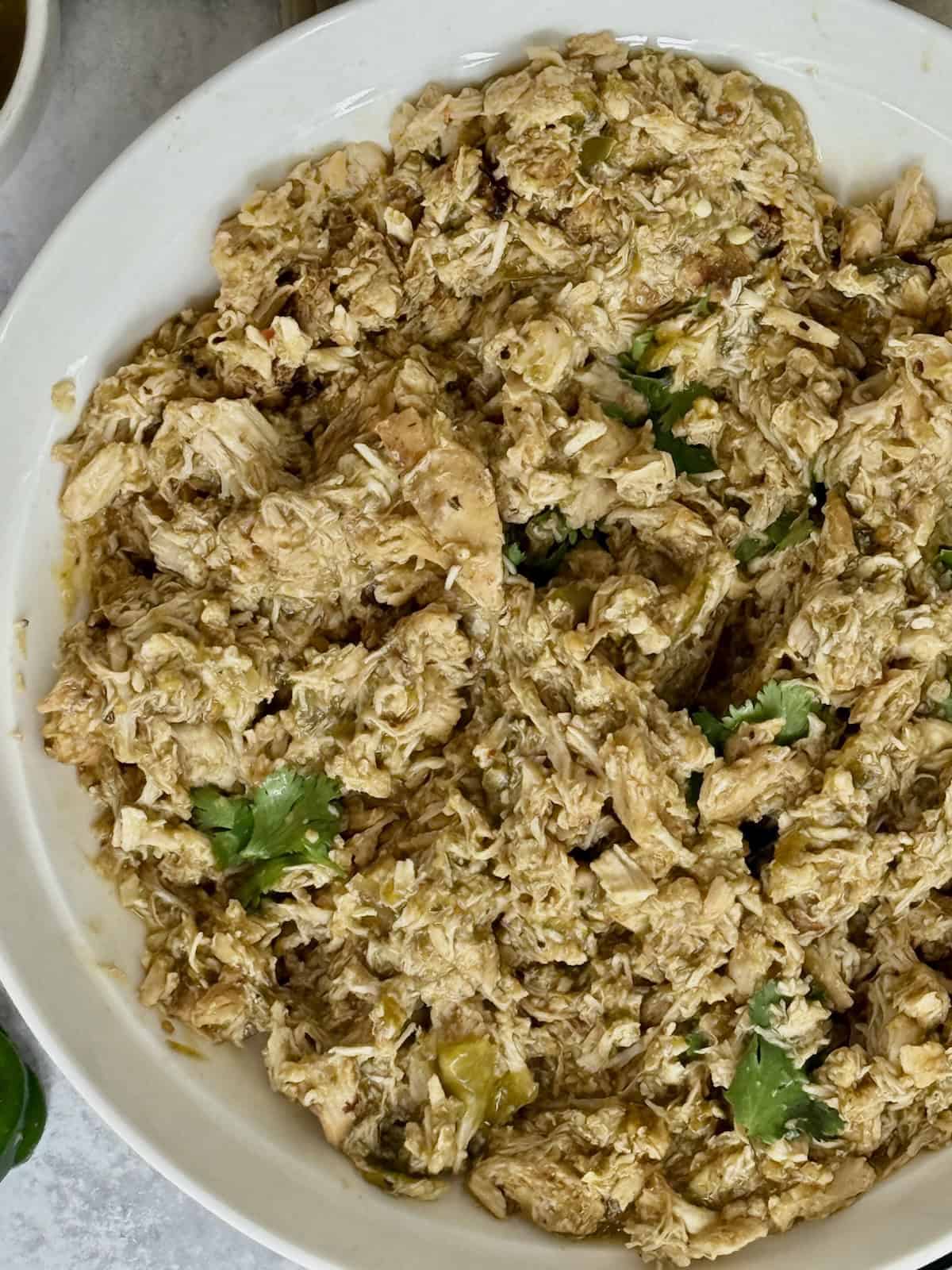 close up of salsa verde chicken