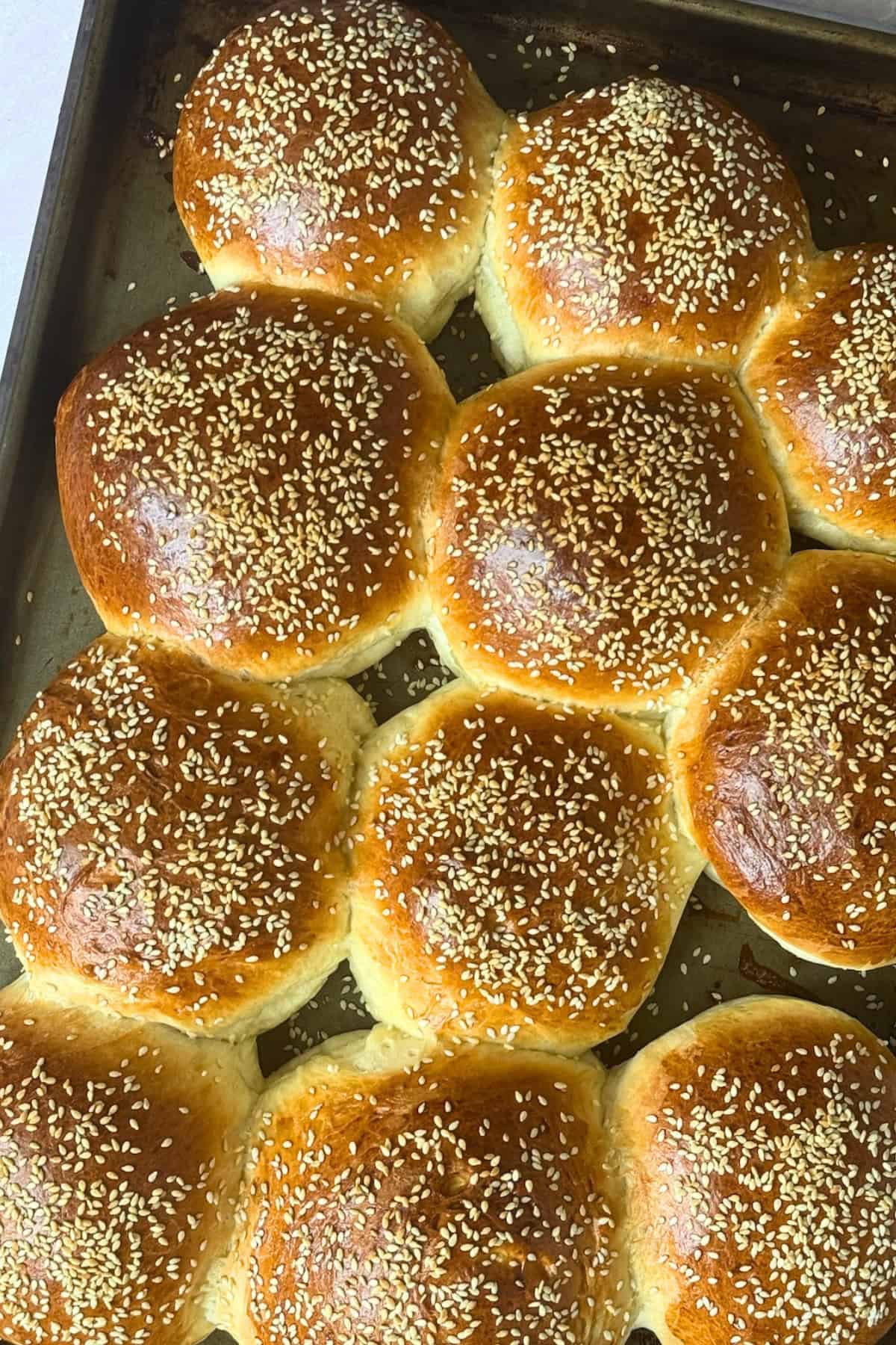 bread machine hamburger buns topped with sesame seeds on a baking sheet