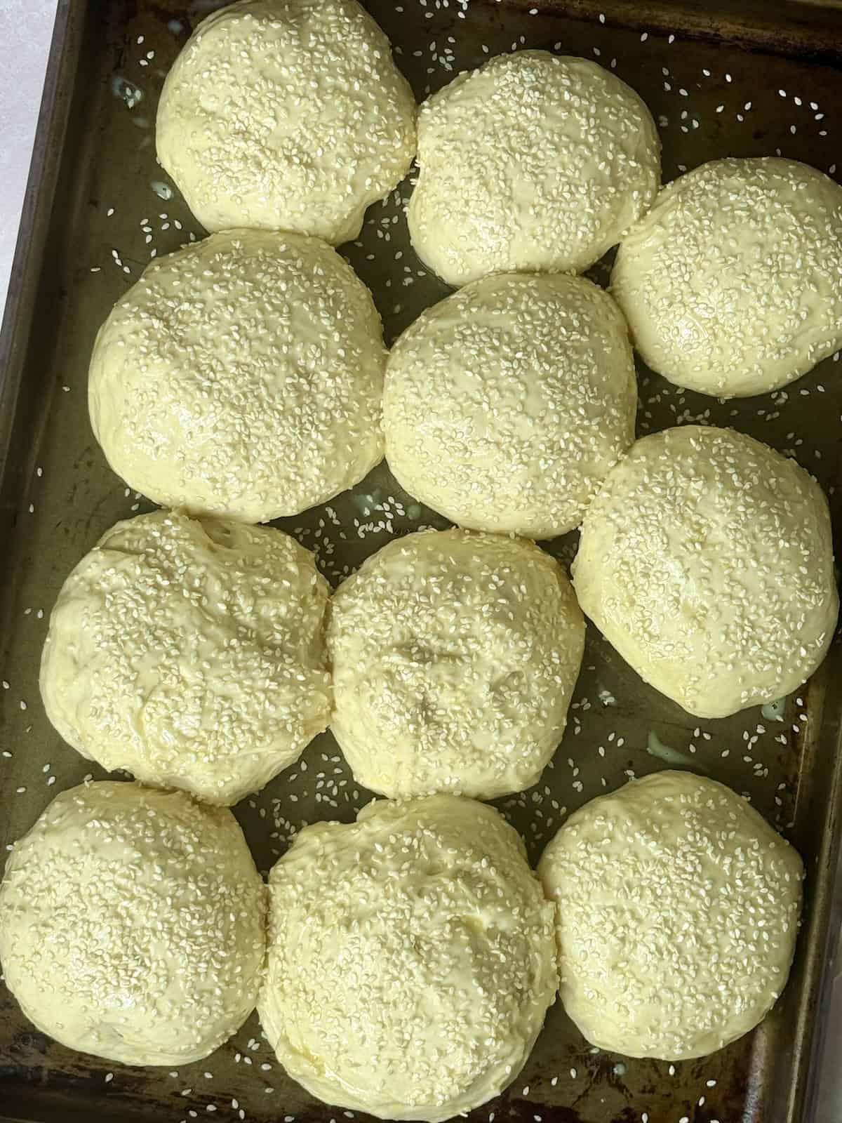 risen hamburger dough balls on a baking sheet