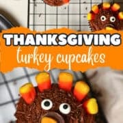 thanksgiving turkey cupcakes pinterest image